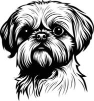 A detailed black and white illustration of a shih tzu dog, perfect for pet related designs, logos, and prints vector