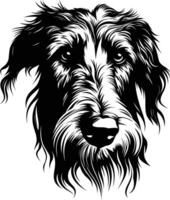 A striking black and white illustration of a bearded collie's head, showcasing its expressive eyes and fluffy beard vector