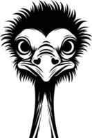 A striking black and white illustration of an ostrich's head, capturing its curious and slightly comical expression vector