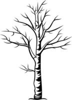 Simple, elegant silhouette of a bare tree, perfect for adding a touch of nature to your designs vector