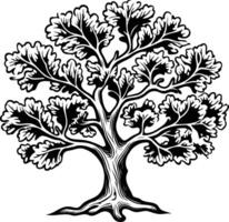 Black and white illustration of a majestic oak tree, perfect for adding a touch of nature to designs vector