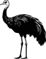 A striking black and white silhouette of an emu standing tall, perfect for adding a touch of the wild to your design projects vector