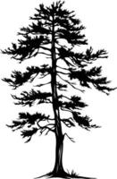 A simple, yet elegant, silhouette of a pine tree vector