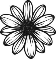 Simple black and white illustration of a daisy flower, perfect for design projects, coloring pages, or adding a touch of nature to your creations vector