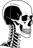 A detailed black and white illustration of a skull with a visible spinal column vector