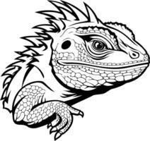Black and white line art illustration of a lizard with a spiky crest vector
