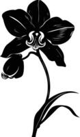 Elegant black silhouette of an orchid flower, perfect for designs and projects needing a touch of nature and sophistication vector