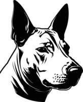 A striking black and white illustration of a xoloitzcuintli dog's head vector
