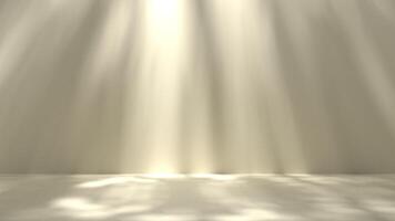 minimal concrete wall with leaf shadow texture, empty stage with sun light cast on beige background. photo