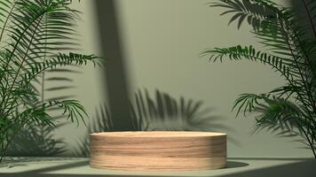 3D empty wooden stand display with tropical plant, minimal podium and natural sunlight from window, photo