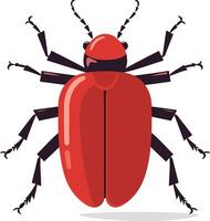 Red Beetle with Black Legs on White Background vector