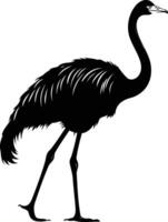 A striking silhouette of an ostrich in black and white, capturing its unique form and graceful posture vector