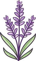 A simple, cute illustration of a lavender flower, perfect for adding a touch of floral charm to your designs vector