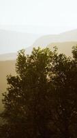 Scenic landscape with steep cliffs and trees during a sunny day video