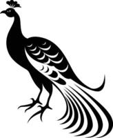 A simple yet elegant black and white silhouette of a peacock with its feathers spread out vector