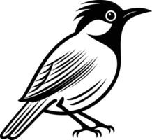 A simple, clean line drawing of a bird in black and white vector