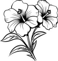 Elegant black and white line art illustration of two hibiscus flowers vector