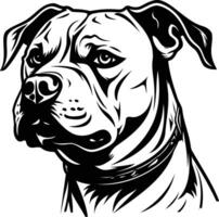 A bold, black and white illustration of a fierce american bulldog, head and shoulders, with a determined expression vector