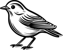 A simple yet detailed black and white line drawing of a cute bird, perfect for logo design, branding, or illustration projects vector