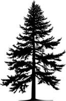 A simple, elegant silhouette of a pine tree, perfect for adding a touch of nature to your designs vector
