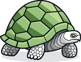 Cute cartoon turtle with a green shell and white eyes vector