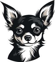 Cute chihuahua dog with big eyes, looking directly at the camera vector