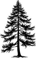 A simple yet striking silhouette of a tall evergreen tree vector