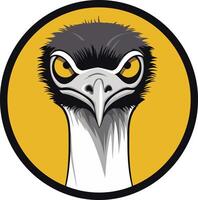 Intriguing cartoon illustration of an emu's head, featuring a bold, curious gaze and sharp details vector
