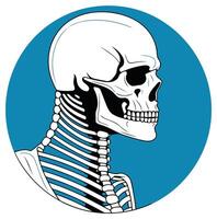 A simple, bold illustration of a human skull with visible neck bones, set against a vibrant blue background vector