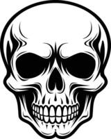 A detailed, monochrome illustration of a human skull, featuring intricate linework and a menacing expression vector