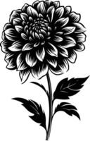 Elegant black and white silhouette of a single dahlia flower with leaves, perfect for adding a touch of botanical beauty to your designs vector