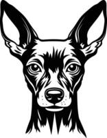 Black and white element illustration of a chihuahua dog with big ears, perfect for t shirts, mugs, posters, and more vector