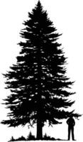 Silhouette of a tall pine tree with a man standing beneath its branches vector