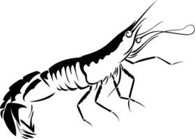 A simple, black and white silhouette of a shrimp, perfect for illustrations, designs, or branding related to seafood, cooking, or the ocean vector