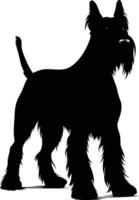 A striking silhouette of a schnauzer dog, perfect for pet related projects, logos, and designs vector