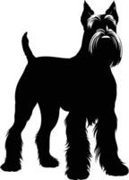 A simple yet striking silhouette of a miniature schnauzer standing tall and proud vector