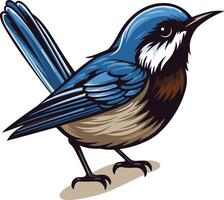 A vibrant bluebird with a white patch on its chest, perched on a branch vector