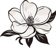 Elegant black and white line art illustration of a single magnolia flower vector
