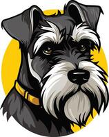 A cute and friendly miniature schnauzer with a yellow collar, looking directly at the viewer vector