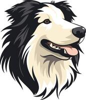 A friendly border collie with black and white fur, looking to the right with a happy expression vector