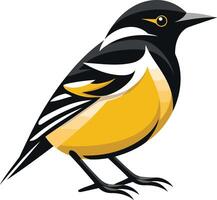 Bold and colorful illustration of a yellow breasted bird with black and white markings vector