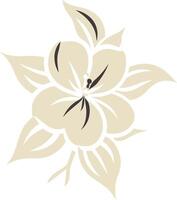 Elegant, stylized flower silhouette in cream and black vector