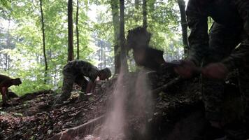 Soldiers digging trenches in a dense forest. A group of Ukrainian soldiers dig trenches in a dense forest as part of field work or military exercises. video