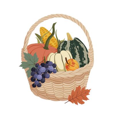 Autumn harvest with colorful pumpkins, grapes, and leaves in wicker farm basket arrangement for postcard, banner, poster, sticker, festival. Fall pumpkin composition design. illustration.
