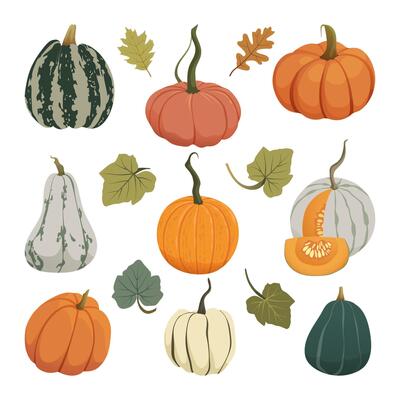 Autumn pumpkins set. Fall harvest gourds of different shapes and colors. Thanksgiving and Halloween pumpkins collection for cards, banners, stickers, and labels. Cartoon illustration EPS10.