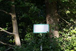 Image of an empty, green-framed sign with a white base in a dense forest photo