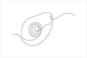 avocado fruit continuous line illustration design vector