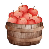 Red apples in a wooden bucket png