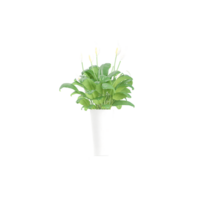 3d rendering of Spathiphyllum wallisii plant isolated on transparent Canvas png