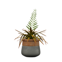 3d rendering of Palm branch plant in pot isolated on transparent Canvas png